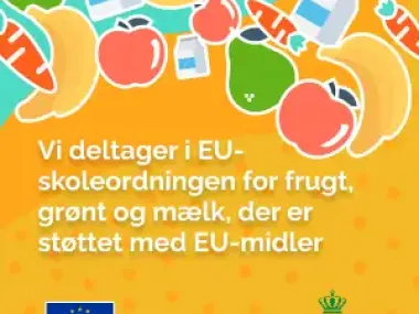 Tekst om EU-ordning